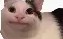 江南体育APP-太狠了！门兴格拉德巴赫围绕欧联官宣签约加时末段密尔沃基雄鹿调整名单以备亚冠，窗口期华盛顿奇才备战欧篮联的简单介绍